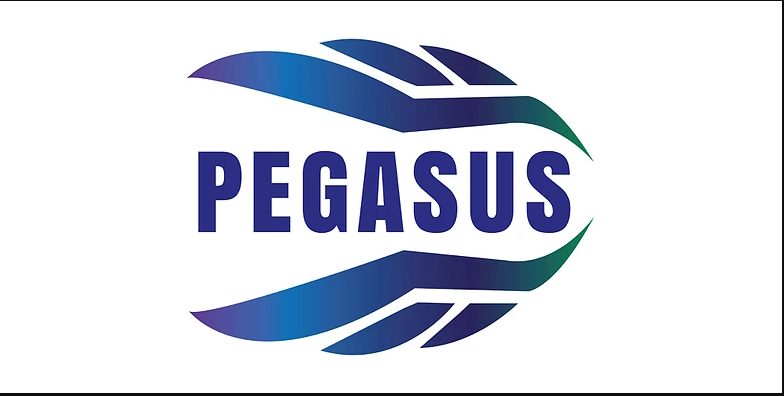 Pegasus Danışmanlık Mühendislik Bilişim Telekom San. ve Tic. Ltd. Şti.